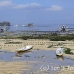 farming_seaweed_nlem_h_0717_bal4014.jpg